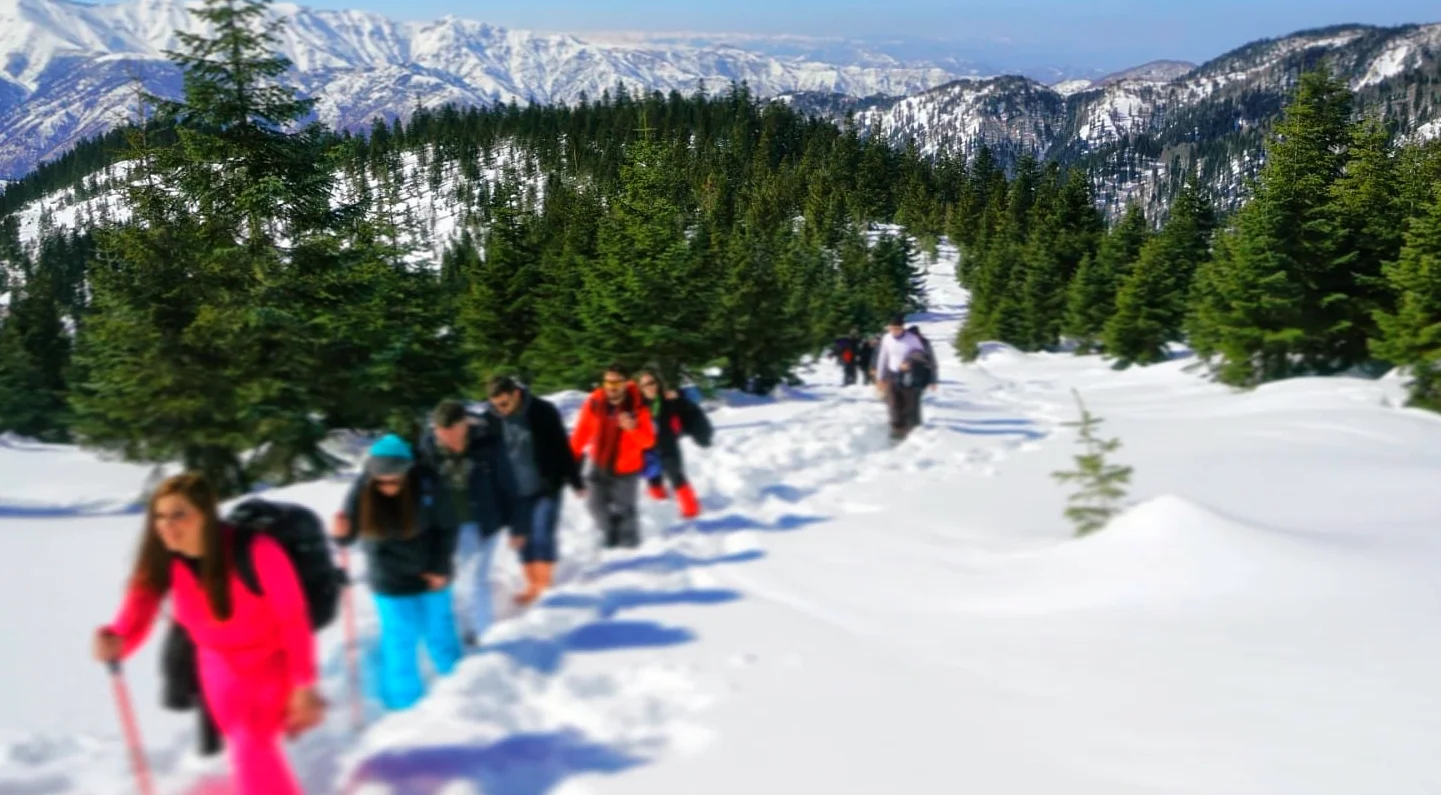 Rize Plateaus Winter Hiking