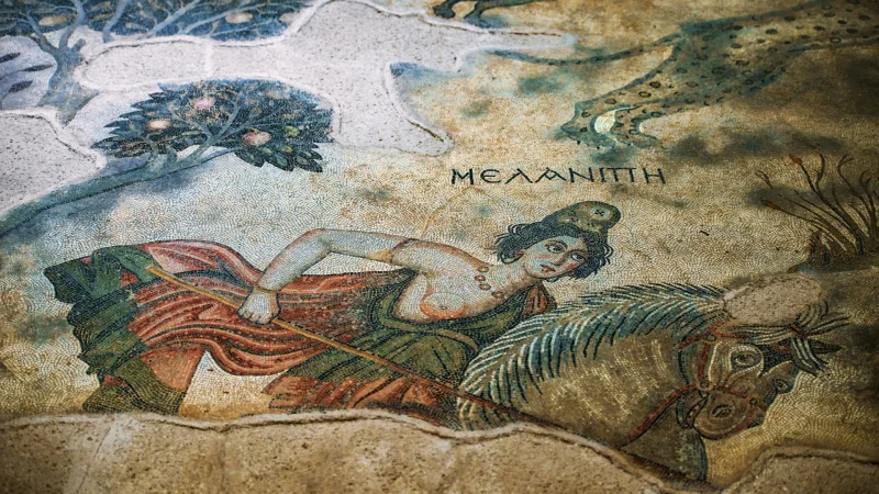 Haleplibahçe Mosaic Museum - Urfa