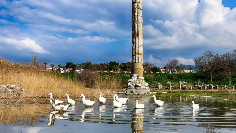 Artemis Temple - Selçuk