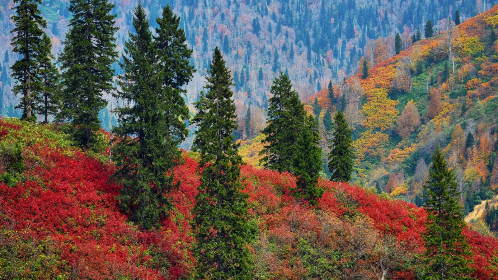 Artvin Mountains