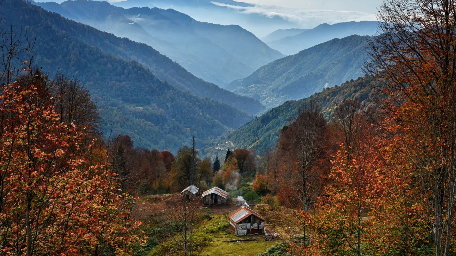 Artvin Maçhael