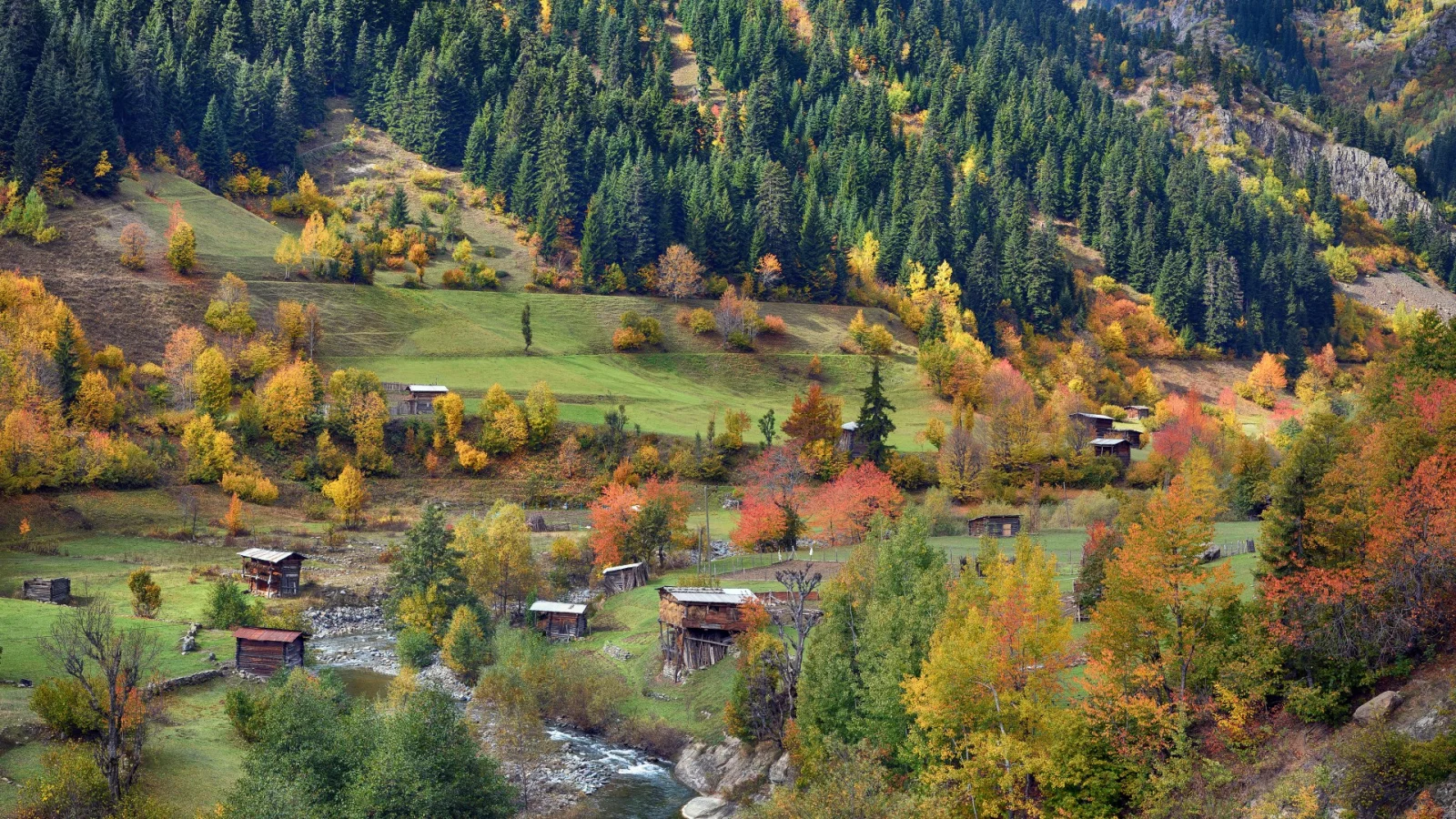 Artvin Papart Plateau