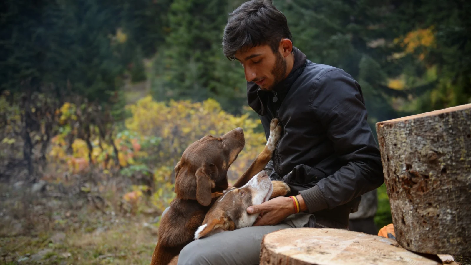 Young Man and Dogs