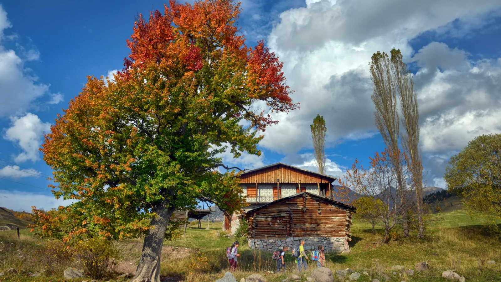 Artvin Yusufeli
