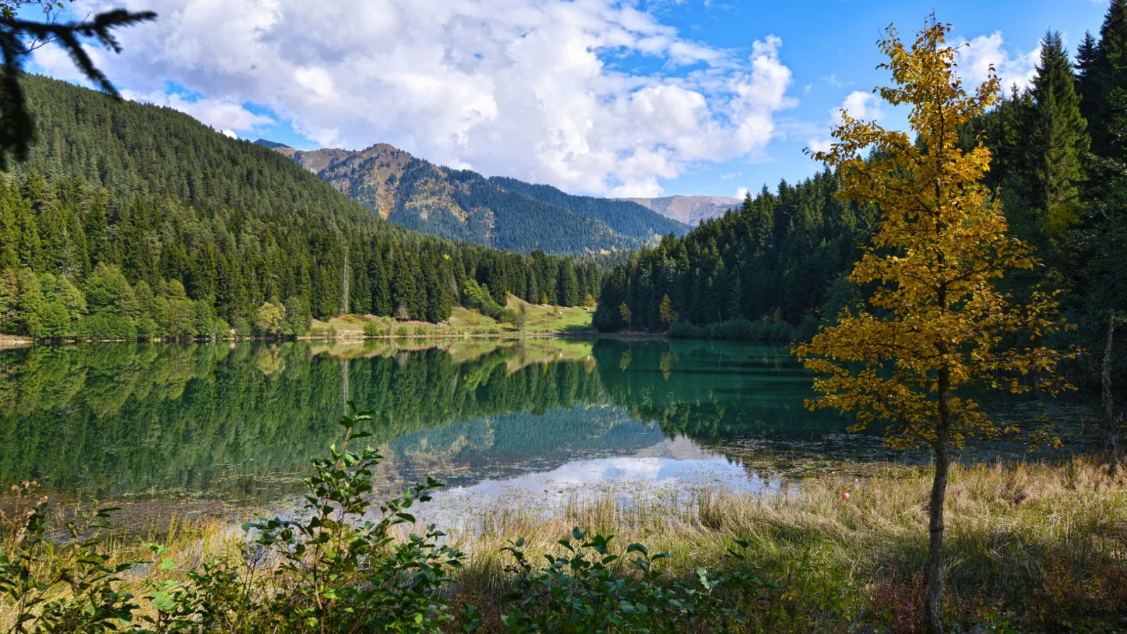 Artvin Şavşat Mavigöl (Blue Lake)