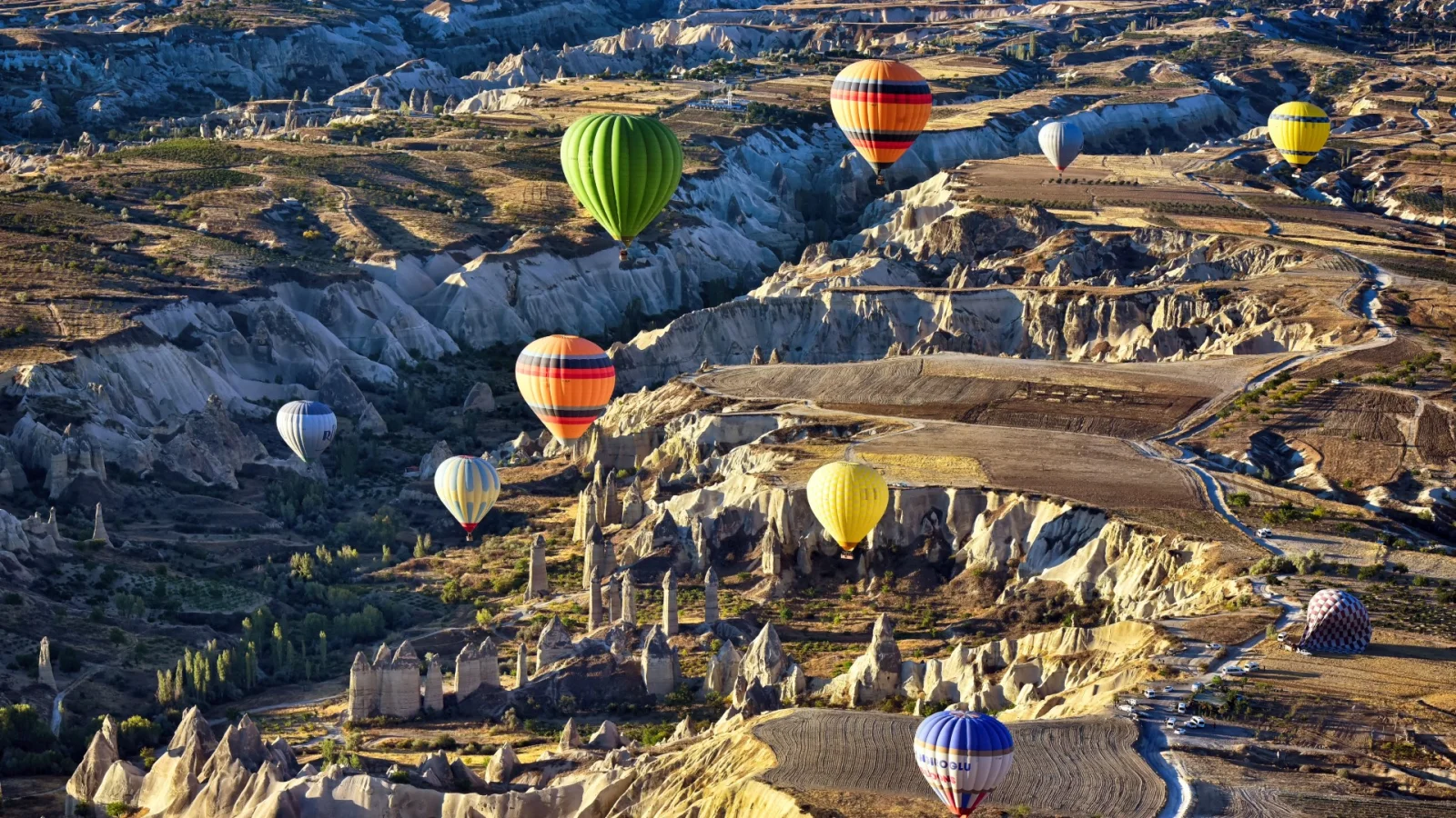 Balloon Tour