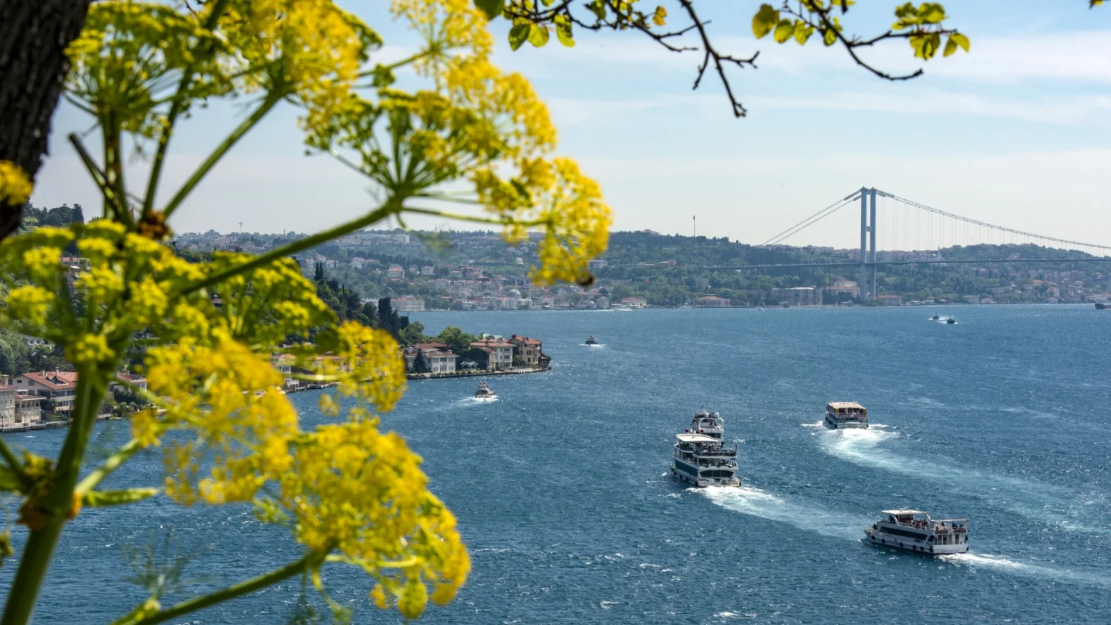Bosphorus Cruise - Istanbul