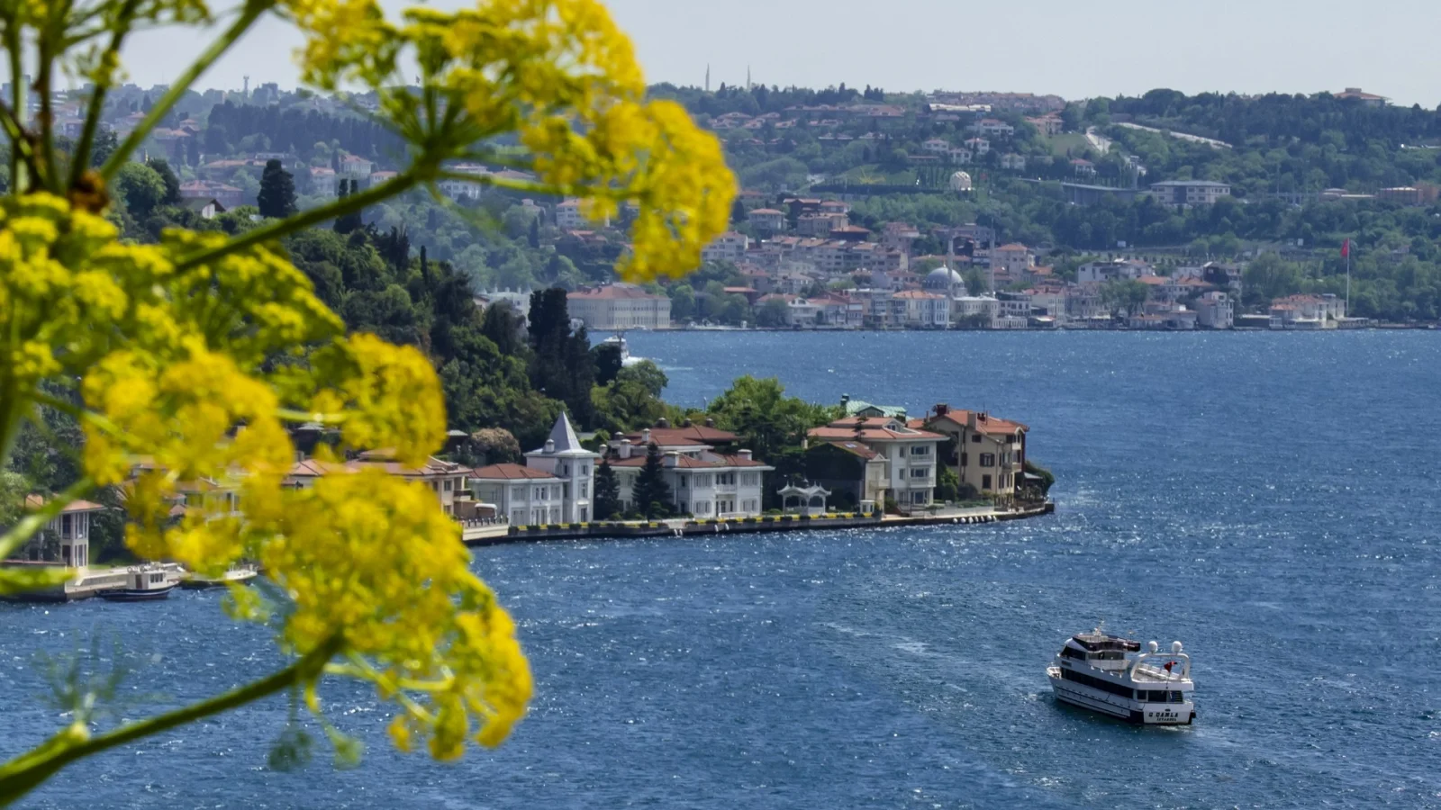 Bosphorus Mansions