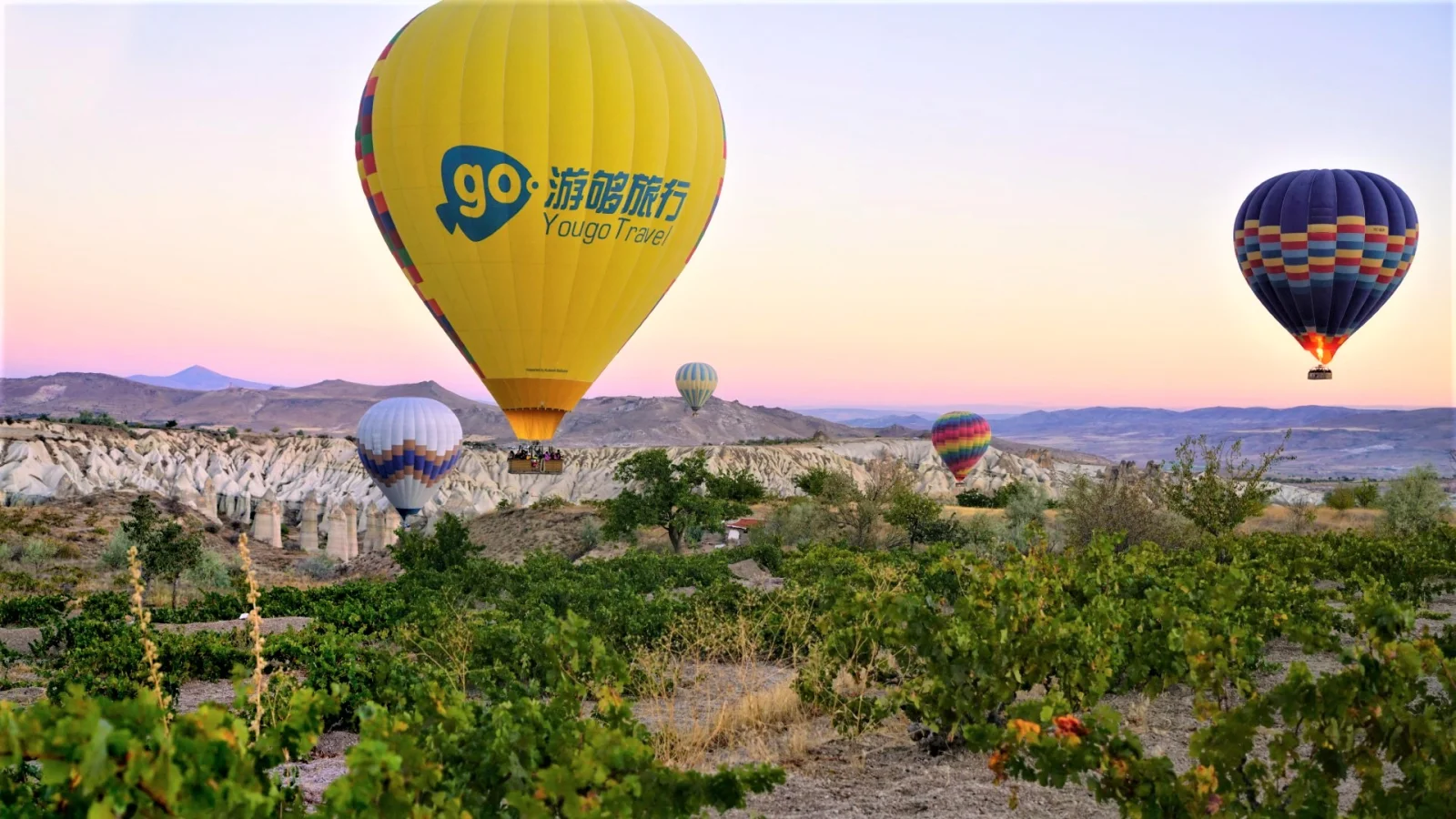 Cappadocia Grape Gardens from Balloon Baskets