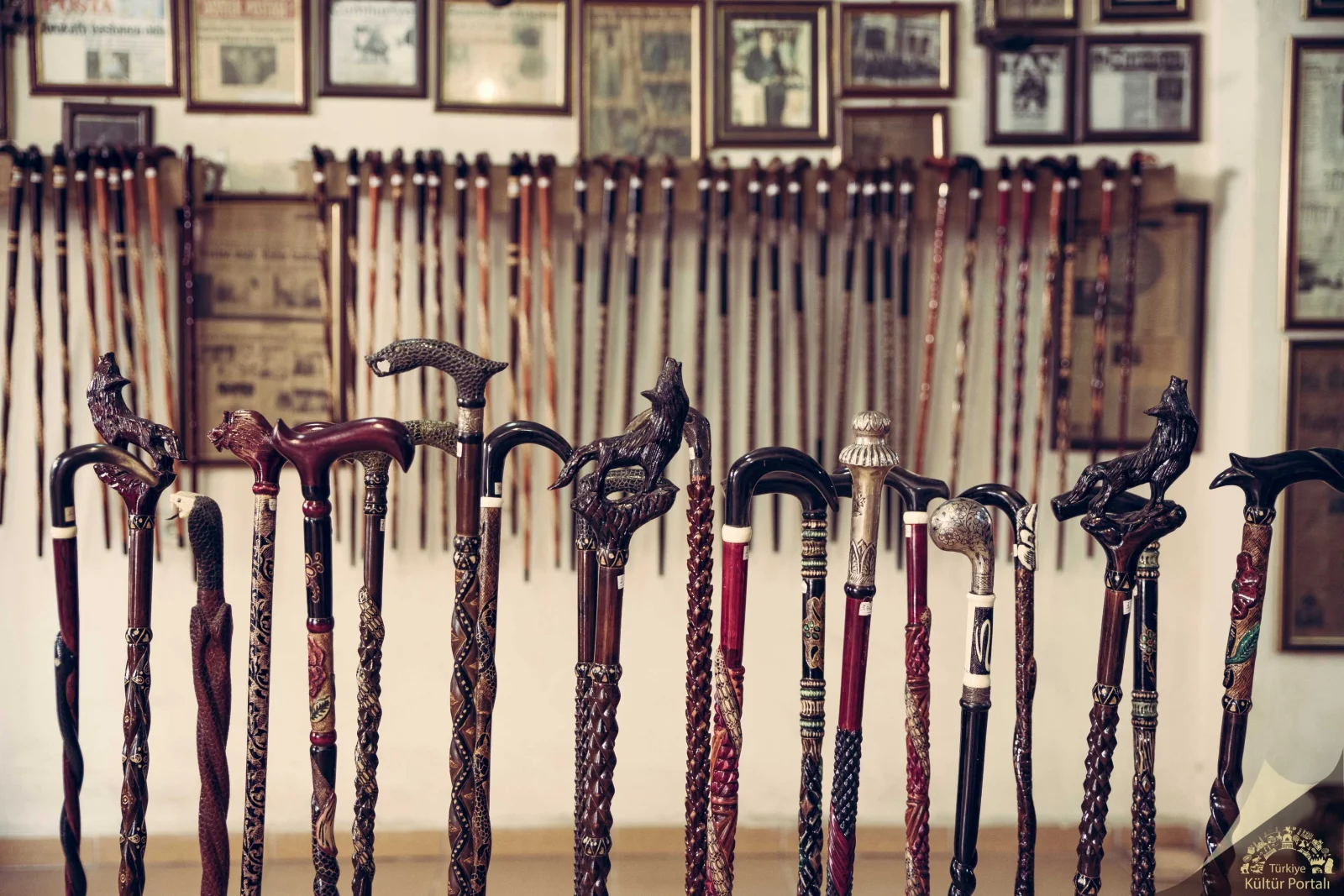 Devrek Walking Sticks