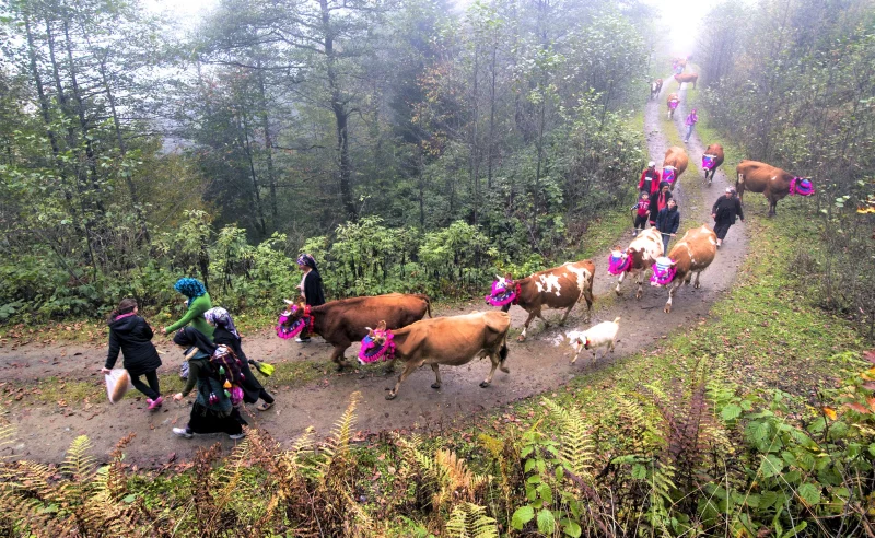 Giresun Villages Highland Migration