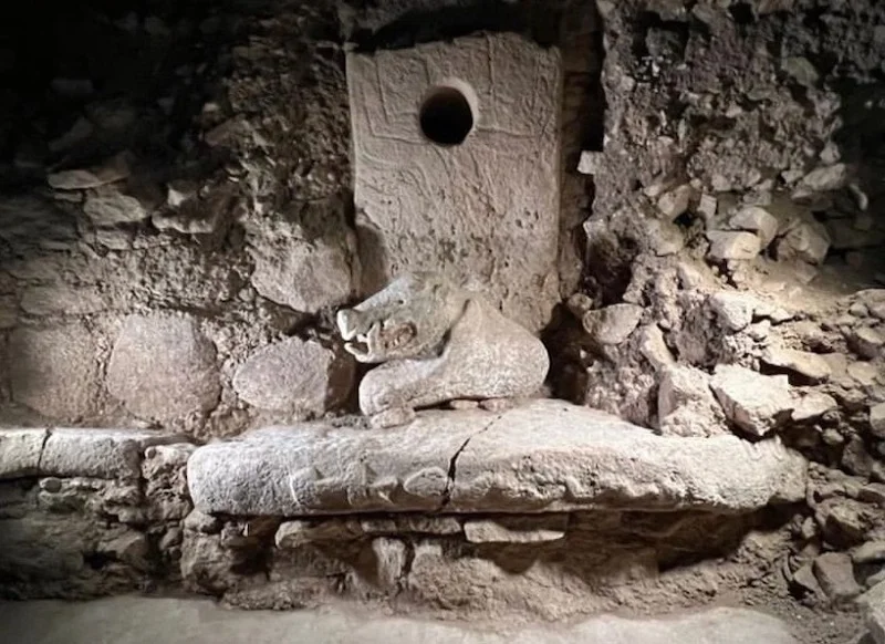 Göbeklitepe Wild Pork Statu