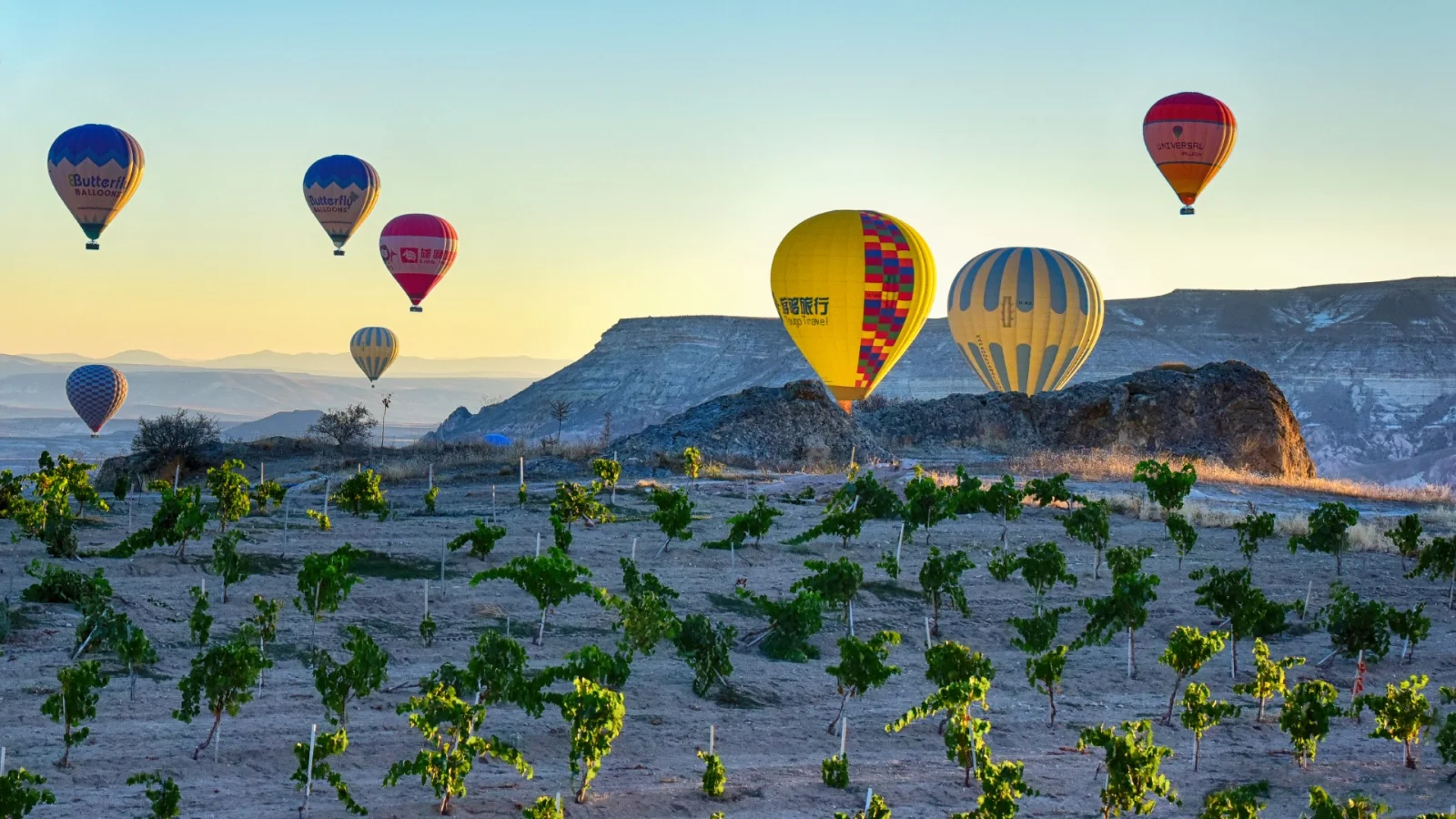 Cappadocia Balloon Tour