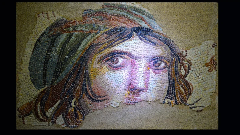 Gypsy Girl Zeugma Mosaic Museum Gaziantep