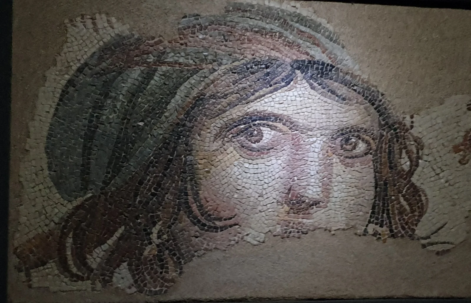 Gypsy Girl mosaic - Gaziantep Zeugma Museum