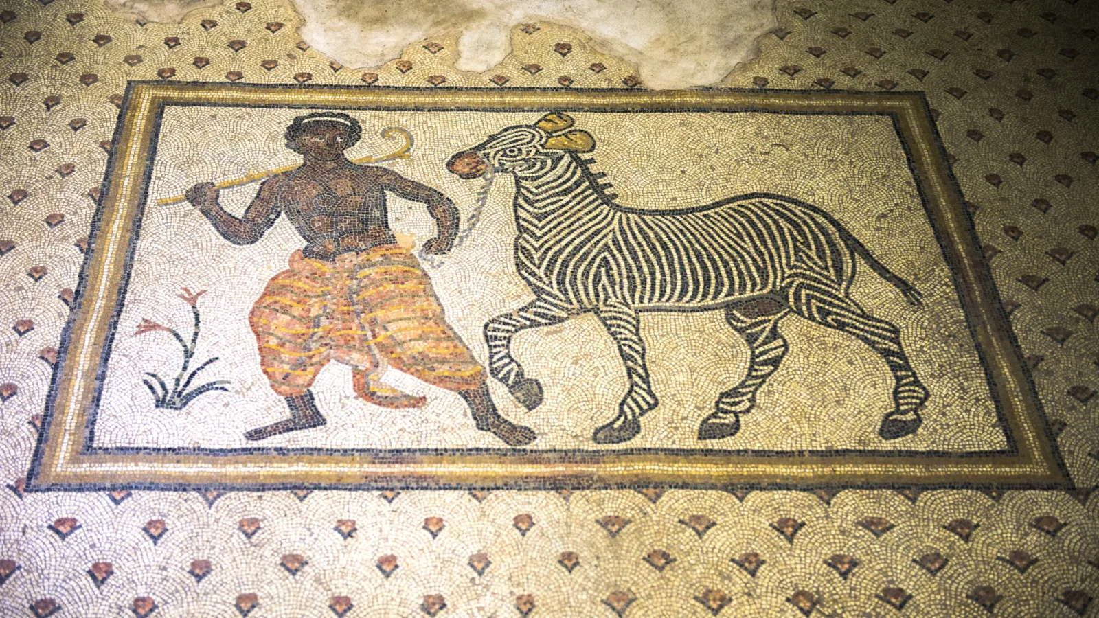 Haleplibahçe Mosaic Museum - Urfa