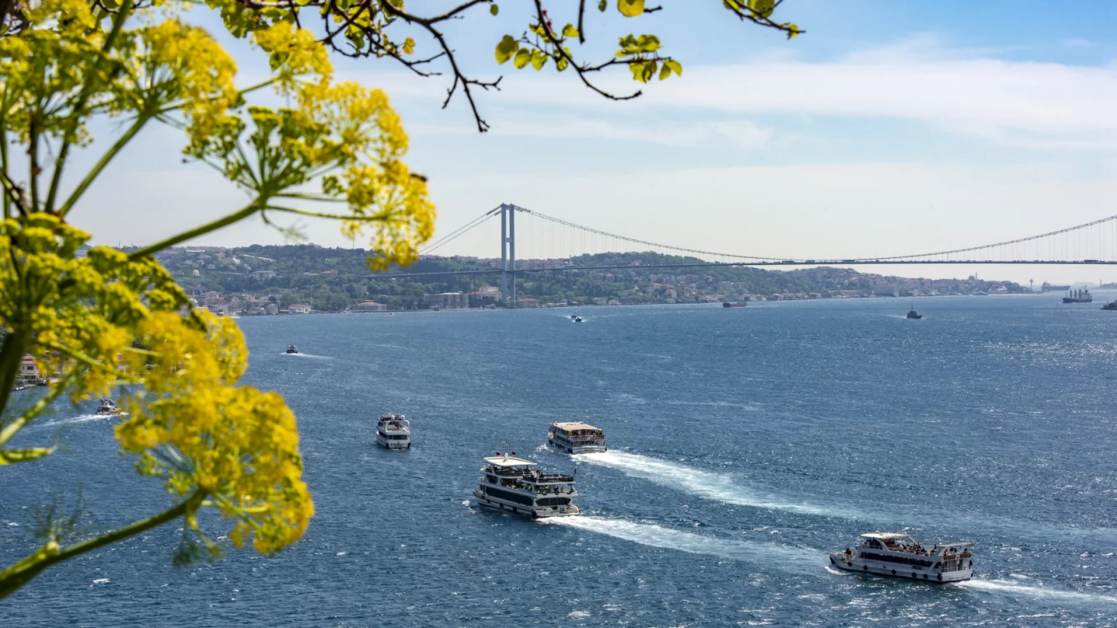 Bosphorus Cruise Istanbul