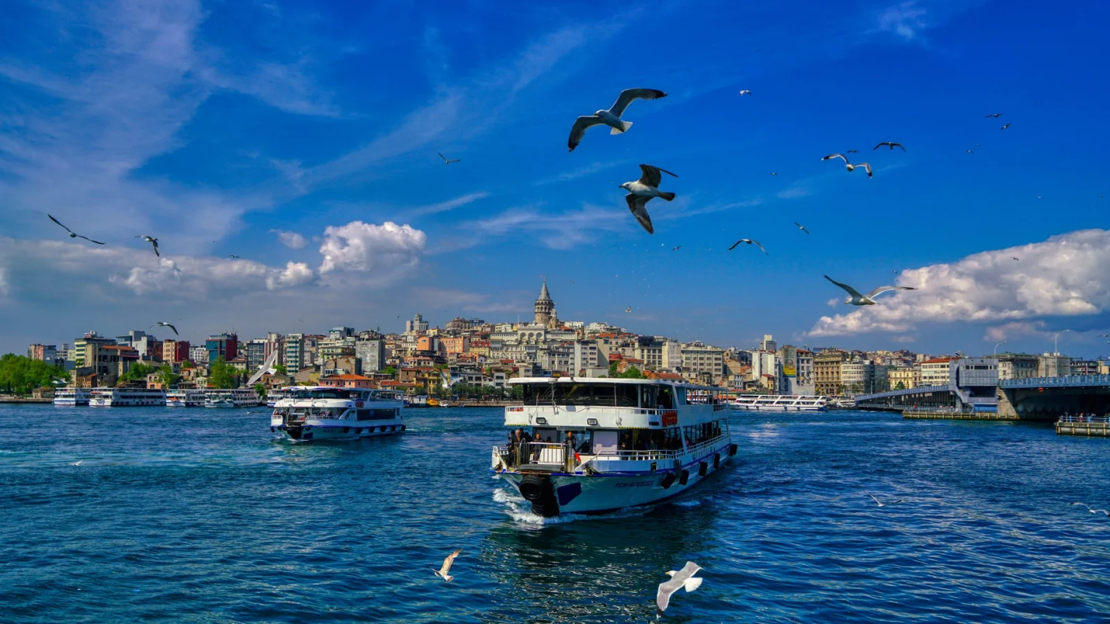 Istanbul City Lines ferry