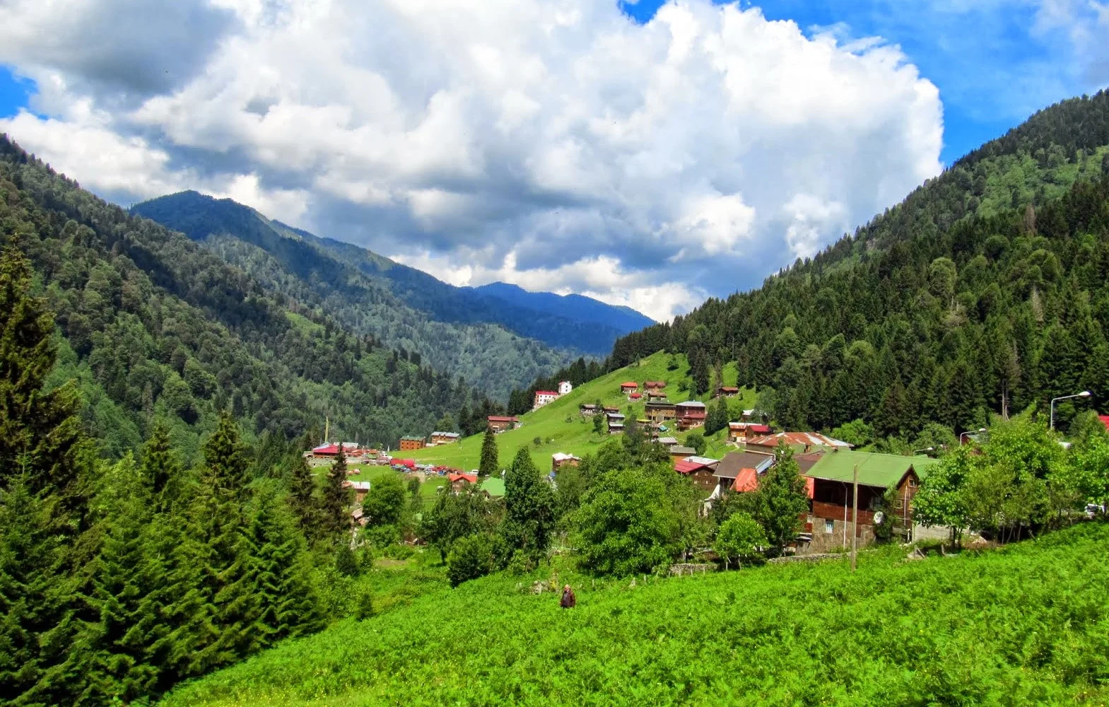 Ayder Plateau - Rize