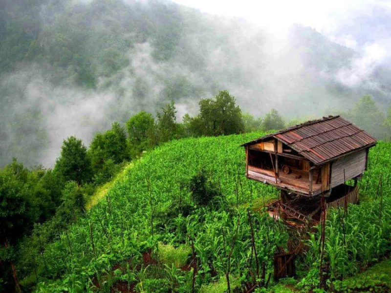 Wooden Granary - Black Sea