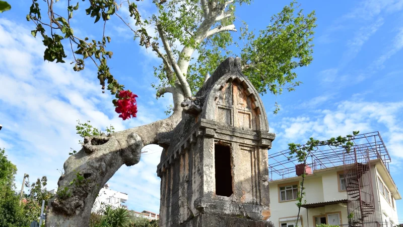 Turkey Women's Tour - 8 Days/7 Nights