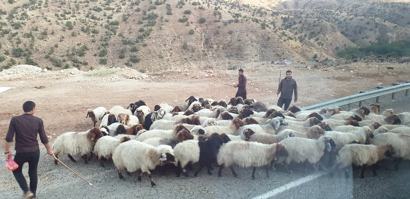 Village Life Mardin