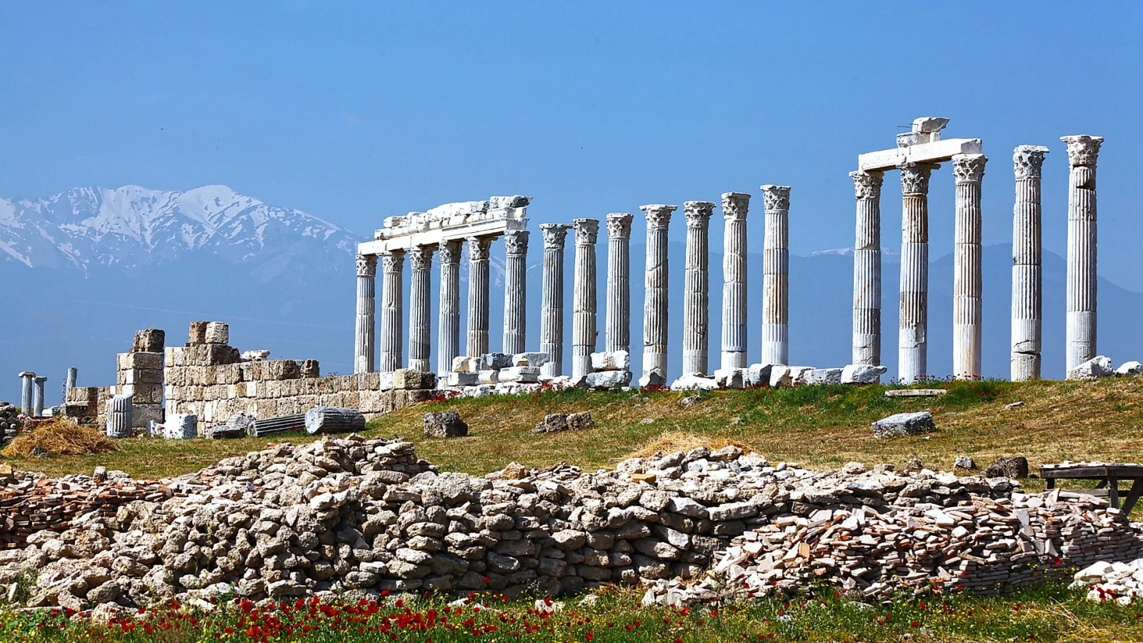Laodicea