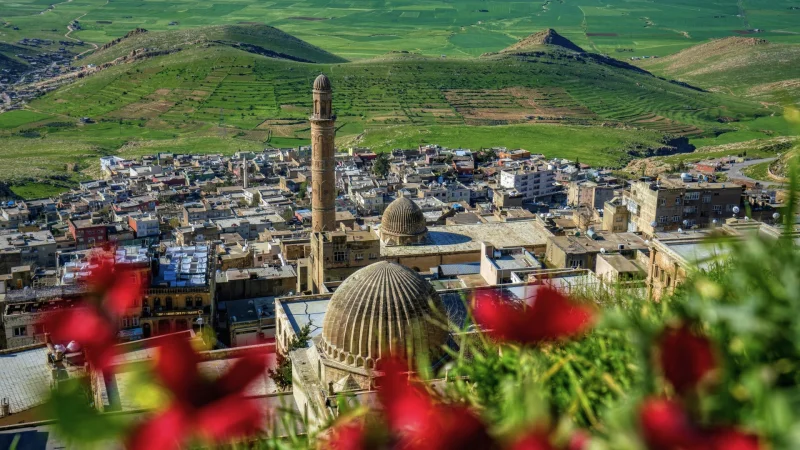 Mardin