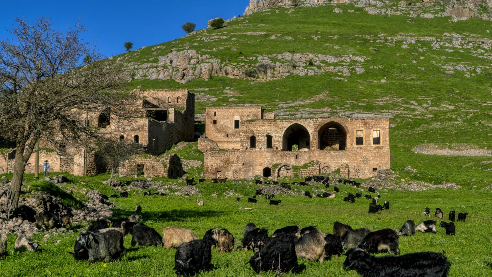 Savur Village Mardin