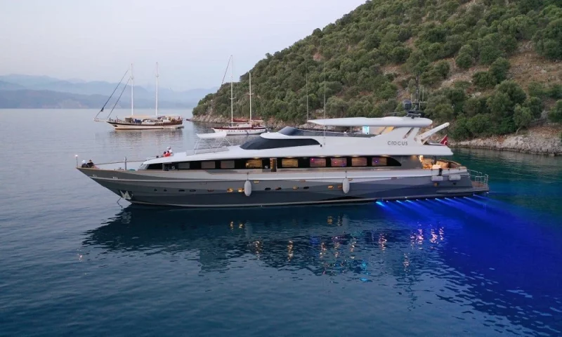 MOTORYACHT CROCUS