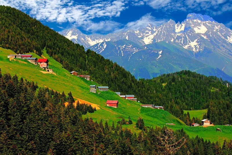 Turkey Black Sea Region and Georgia Tour - 12 Days