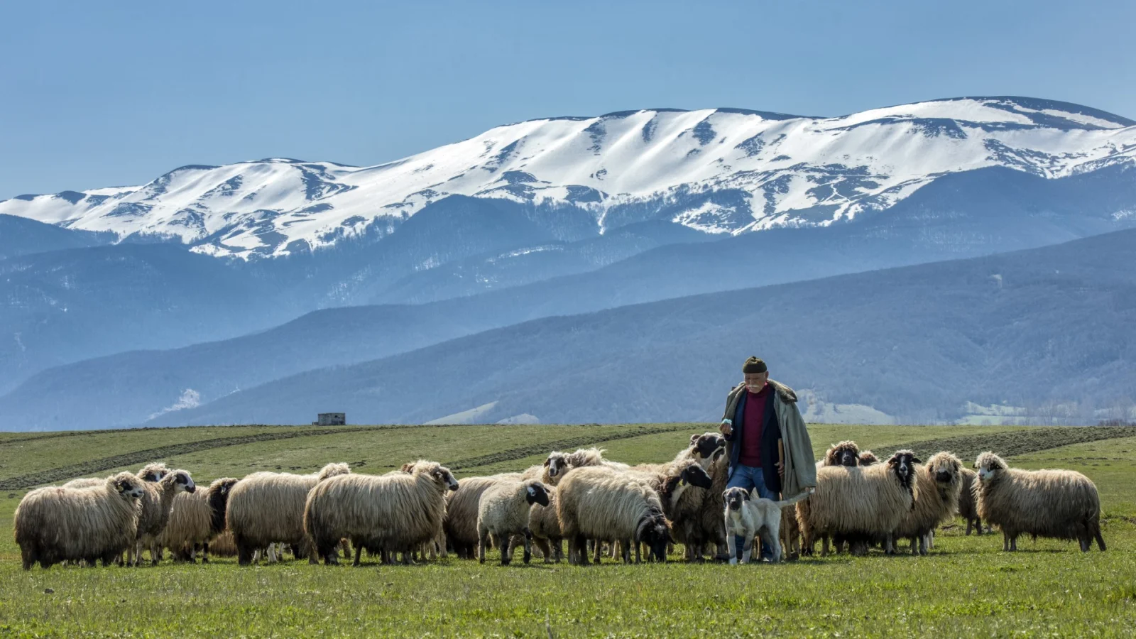 Samsun Village Life