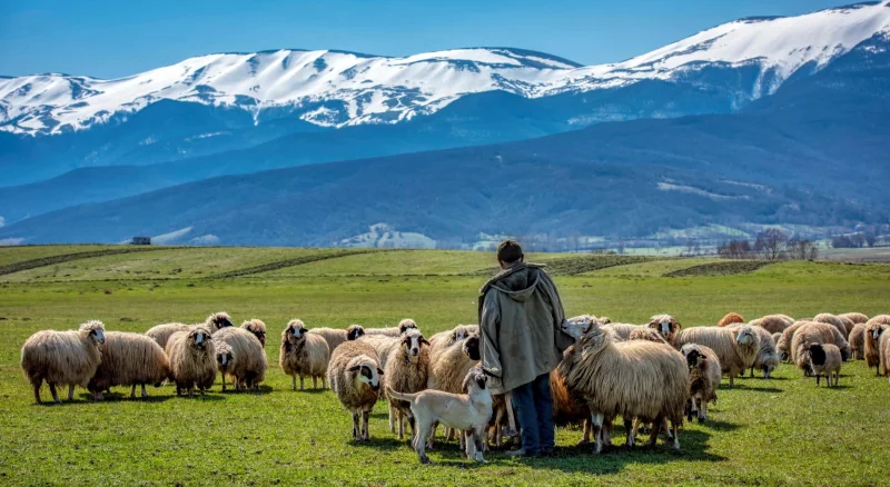 Black Sea Highlands