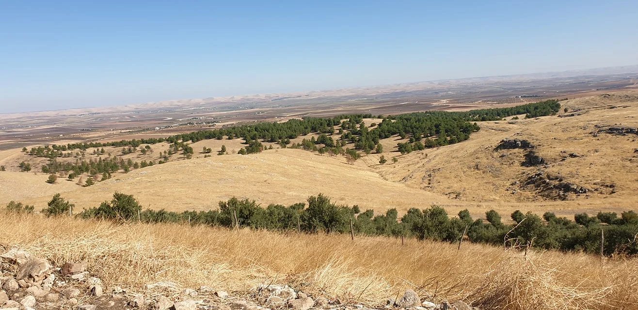 Stone Hills (Taş Tepeler) Şanlıurfa