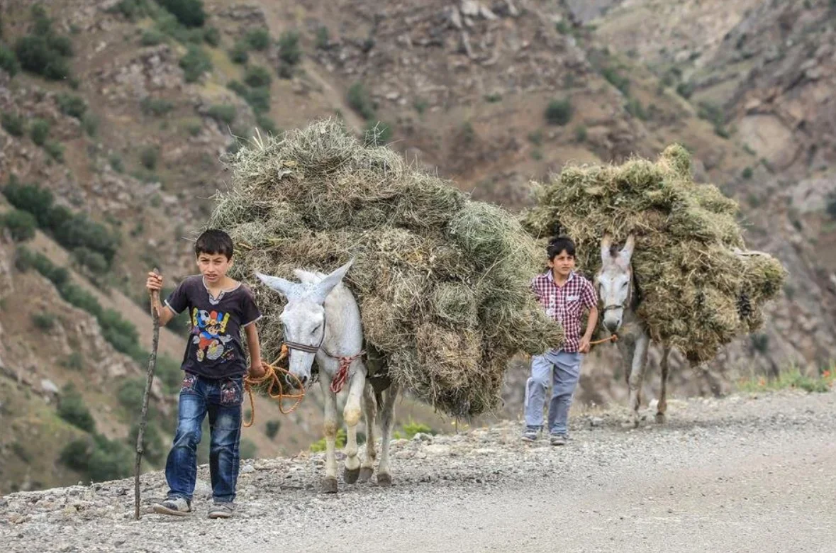 Uzuntaş Village - Hizan Bitlis