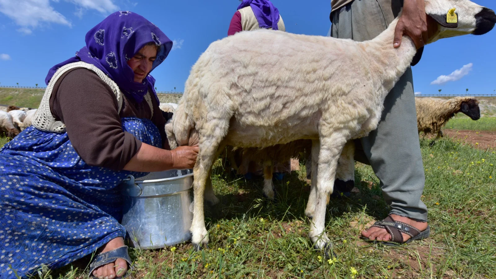 Nomad Life in Anatolia